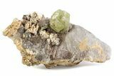 Lustrous Yellow-Green Apatite Crystal on Calcite - Morocco #376599-1